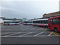 Busy, busy, busy buses