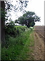 Bridleway towards Potcote Farm