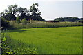 Covered reservoir by the lane