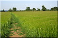 Footpath to Bradden