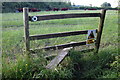 Curious cattle on the footpath to the road