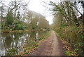 Towpath, Basingstoke Canal