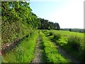 Track by woodland west of Aucheneck House