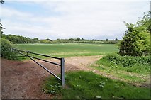SU5441 : Farmland east of Stratton Park by Mr Ignavy