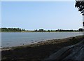 View towards the head of Castleward Bay from the Eagleson Hide