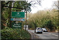 Entering Surrey, A325