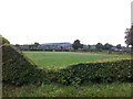 N2081 : Hedge near Soran, Longford by Darrin Antrobus