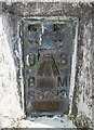 NH9862 : Benchmark on Trig Point No S8723 by Anne Burgess
