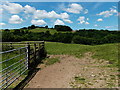 Towards Maescletwr from Crickadarn