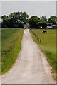 Track to Hilperton Marsh Farm