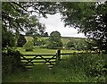 View towards Hellings Farm