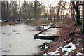 SP9713 : Clickmere Pond, Ashridge. with snow lying on ice (December 2009) by Chris Reynolds