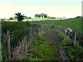 Path at Dunnamore