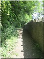 Footpath - Carr Lane