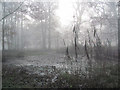 SP9713 : A misty December day at Clickmere Pond, Ashridge (2010) by Chris Reynolds