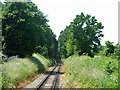 Mid Hants Railway, Four Marks