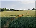 Footpath to Hill Green Farm