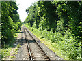 Mid Hants Railway at 50-3/4 mile post