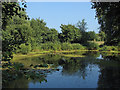 Pond near Grove Farm