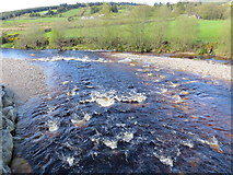 O0514 : River Liffey at Ballysmuttan (Ciaran Jones) Bridge by jwd