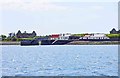 Q9752 : Scattery Island (Inis Cathaig), Co. Clare (01) - Approaching the pier by P L Chadwick
