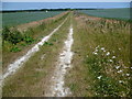 Bridleway off Lower Rochester Road