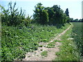 Footpath off Lower Rochester Road