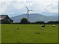 Wind turbine at Llys Gwynt Farm