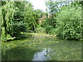 Lake in Fishponds Park