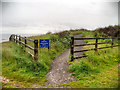 NZ4163 : Path at Whitburn Nature Reserve by David Dixon