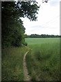 Footpath to Beech Bottom