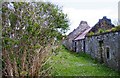 Q9752 : Scattery Island (Inis Cathaig), Co. Clare (10) - abandoned housing in The Street by P L Chadwick