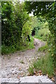 Public Bridleway off Woodland Road