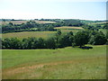 Steep bank in sheep pasture