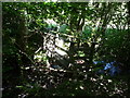 Footbridge in the wooded valley