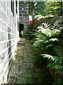 On the footpath from Castle Gate to Cragg Road