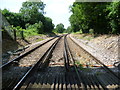 The Medway Valley Line at Bower Lane