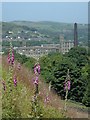 Valley hillside and view to Marsden