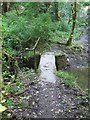 Monolithic stone slab forming a footbridge over Frenchman