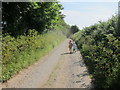 Footpath to Tregasso Farm & Gillan Creek