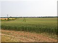 Wheat field off Glympton Road