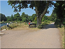 TQ0765 : The Thames towpath by Alan Hunt
