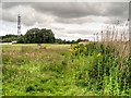 Grassy Area Next To Killingworth Lake