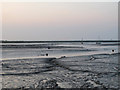 TL9002 : Mudflats at Maylandsea Bay by Roger Jones