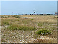 Dungeness scenery