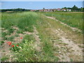 Footpath at East Barming