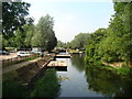 View of Paper Mill Lock from the navigation path by the car park #3