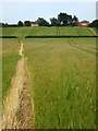 Footpath to Maynes Hill Farm