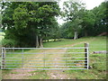 Farm track across fields and into woods