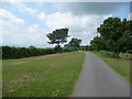 Lane in upland Breconshire